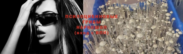 эйфоретик Белокуриха