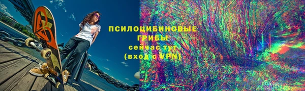 эйфоретик Белокуриха