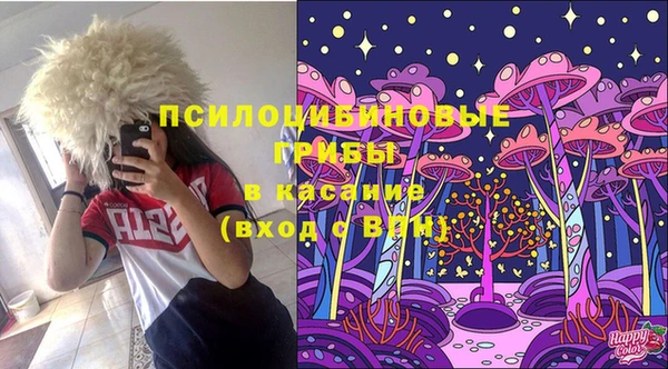 эйфоретик Белокуриха