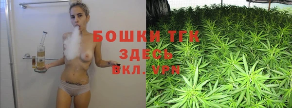 эйфоретик Белокуриха