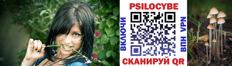 Галлюциногенные грибы Psilocybe  даркнет какой сайт  Томилино  кракен рабочий сайт 